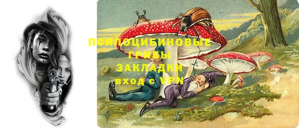 дживик Дмитров